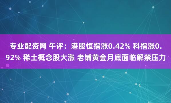 专业配资网 午评：港股恒指涨0.42% 科指涨0.92% 稀土概念股大涨 老铺黄金月底面临解禁压力