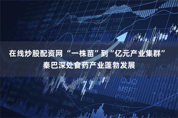 在线炒股配资网 “一株苗”到“亿元产业集群” 秦巴深处食药产业蓬勃发展